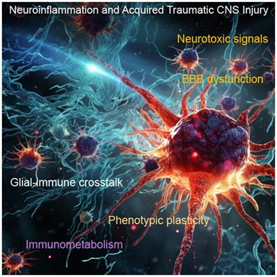Neuroinflammation and acquired traumatic CNS injury: a mini review